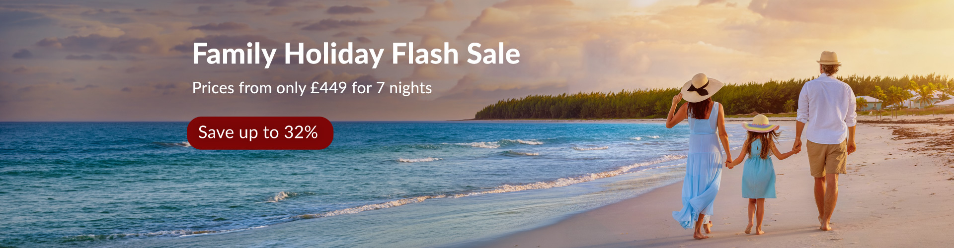 2026 Holiday Flash Sale